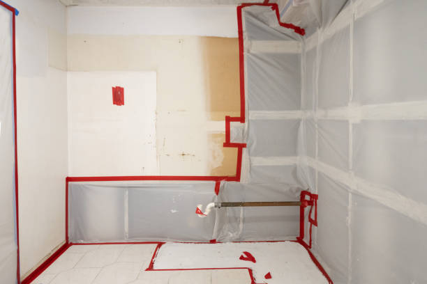 Best Industrial Mold Remediation  in Hayneville, AL