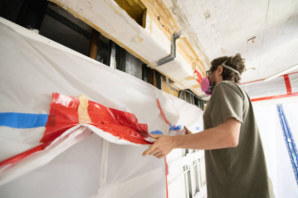 Best Mold Remediation for Healthcare Facilities  in Hayneville, AL